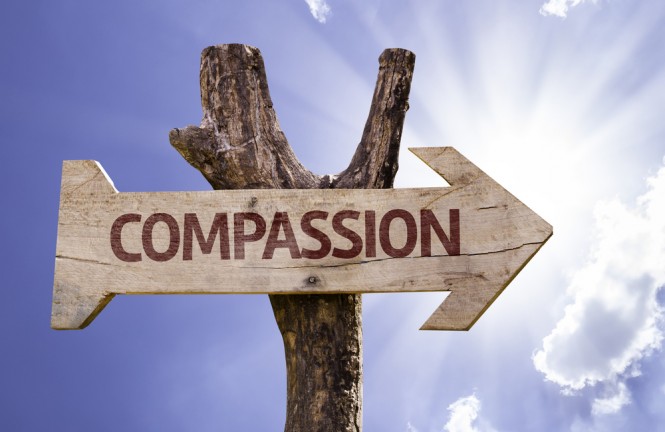 Compassion Focused Therapy not just warm and fuzzy!